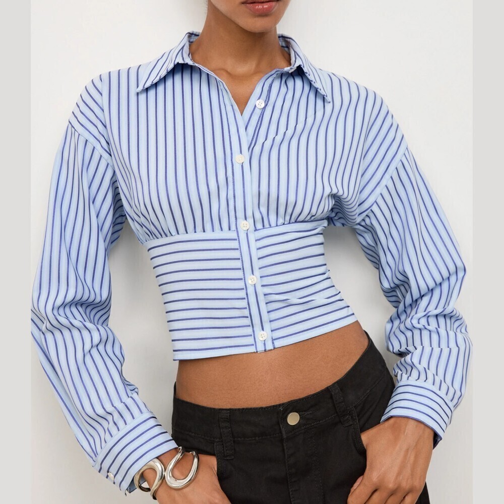 Blue Striped Cropped Button Up Cinched Waist Point Collar Blouse Shirt